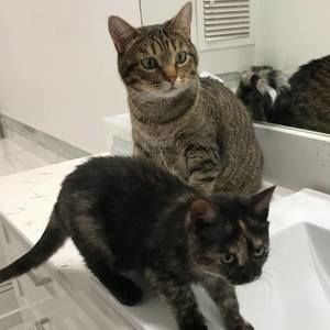 Meet your Posher, Trish